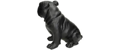 Dog Black